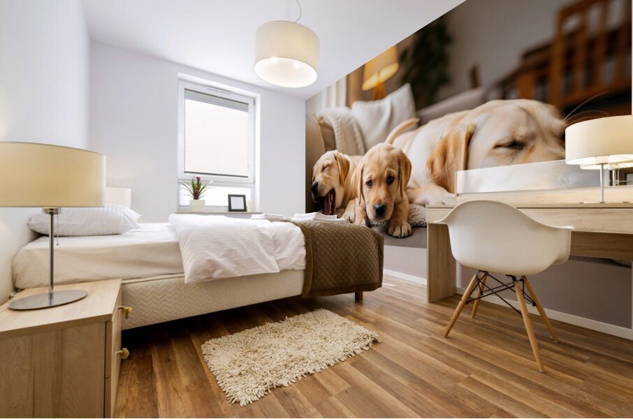 Golden Puppy Finds Spot On Crowded Couch Mural print