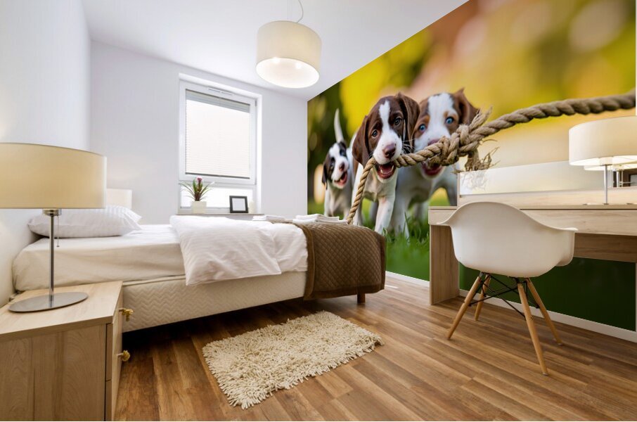 German Shorthaired Pointer Puppy Discovers Big Chew Toy Mural print