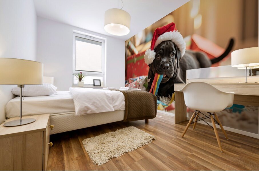 Cane Corso Puppys First Christmas Morning Discovery Impression murale