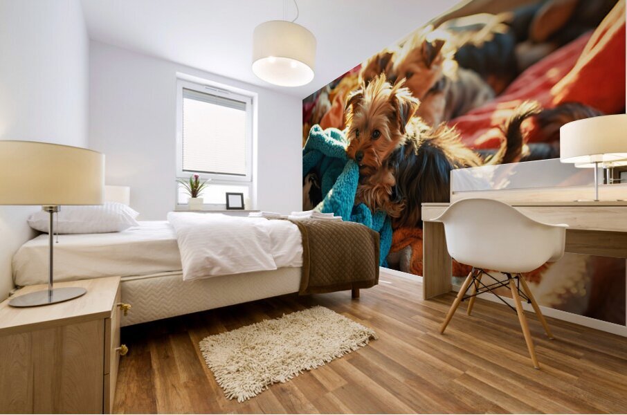 Yorkshire Terrier Puppy Discovers Blanket Mountain Mural print