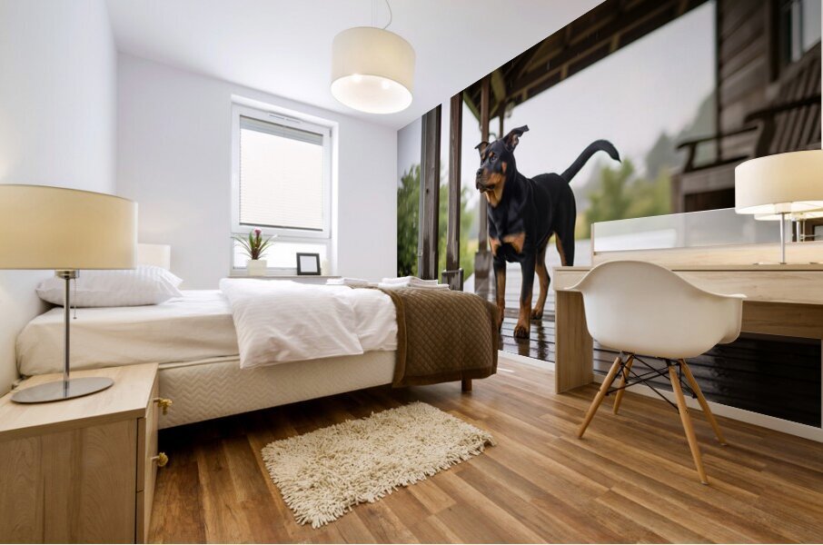 Joyful Rottweiler Puppy Wags Tail Under Porch Impression murale