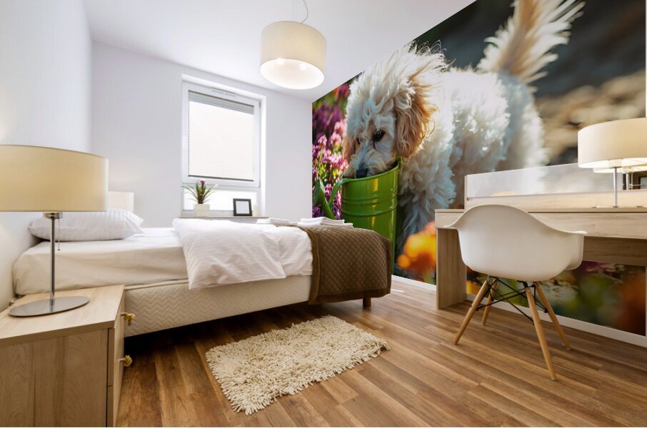 Free Poodle Puppy Sits By Overturned Watering Can Mural print