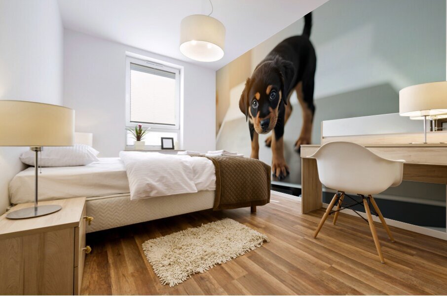 Brave Puppy Completes The Weighing Impression murale