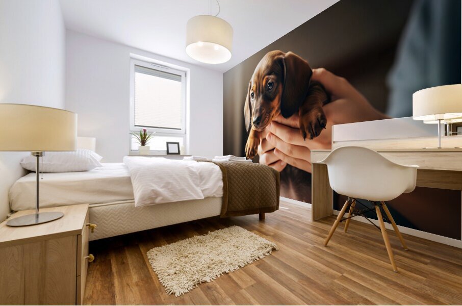 Dachshund Puppy Arrives At The Veterinary Clinic Mural print