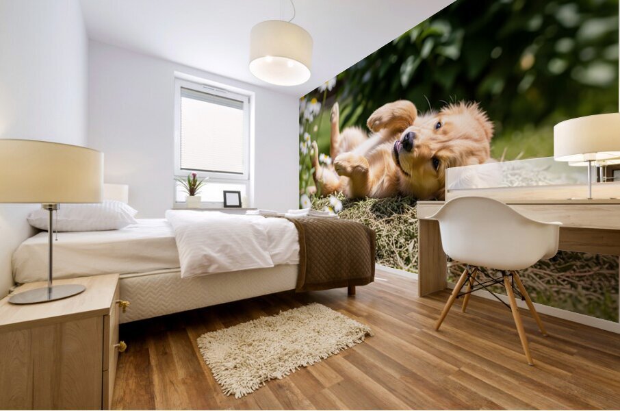 Herby Golden Puppy After Rolling Session Impression murale