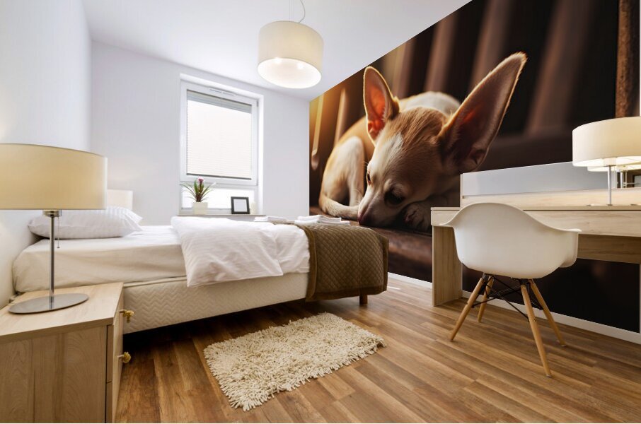 Chihuahua Puppy Dreams Peacefully On Rocking Chair Impression murale