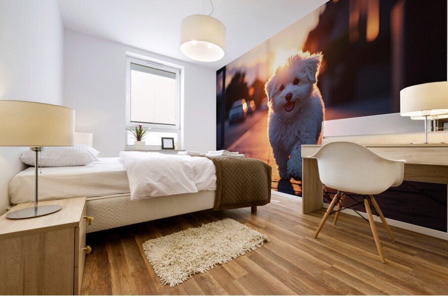 Bichon Frise Puppy Gets Ready For Night Out Impression murale