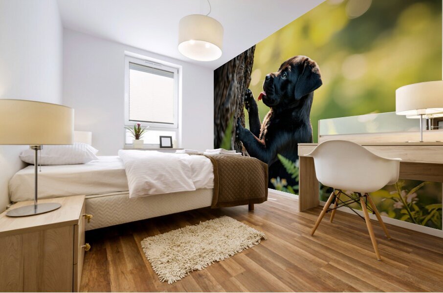 Cane Corso Puppy Spots Squirrel At Tree Base Impression murale