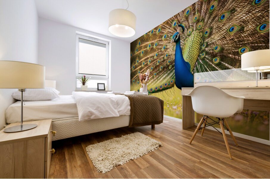 Chihuahua Puppy Tries To Copy Peacocks Elegance Mural print