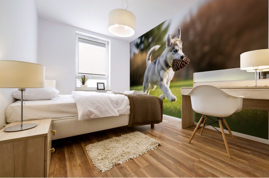 Siberian Husky Puppy Discovers Pinecone In Sunny Garden Mural print