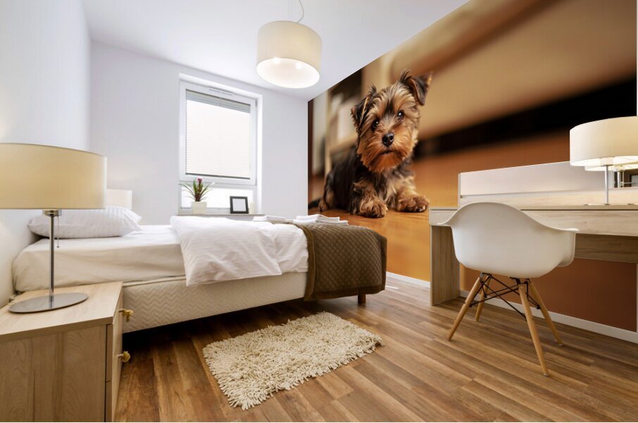 Yorkshire Terrier Puppy Caught Climbing Forbidden Sofa Impression murale