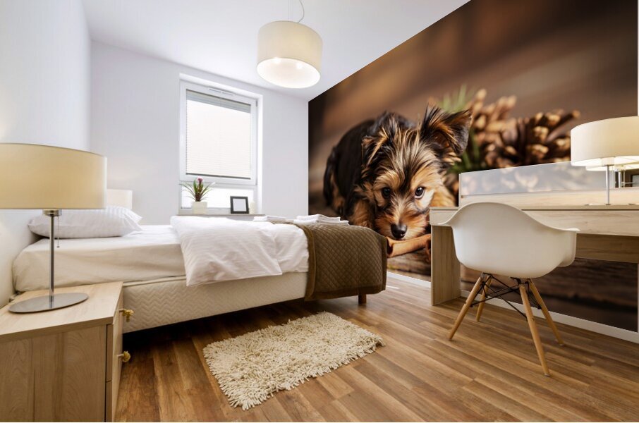 Happy Yorkshire Terrier Puppy With Nature Treasures Impression murale