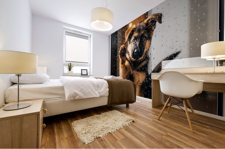 Confused German Shepherd Puppy Tilts Head At Glass Door Impression murale