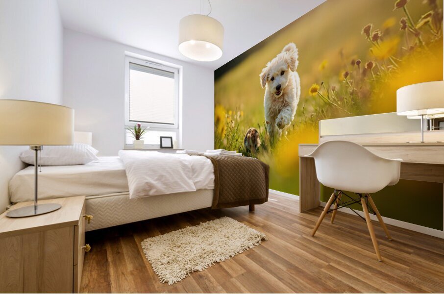 Poodle Puppy Rests Peacefully With Hedgehog Companion Mural print