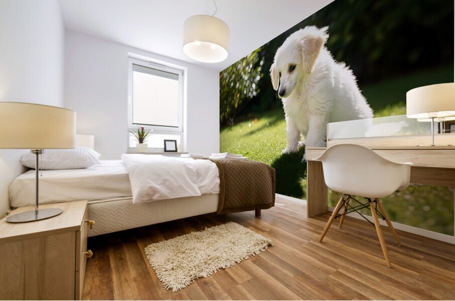 Poodle Puppy Discovers Shadow Play On Sunny Day Mural print