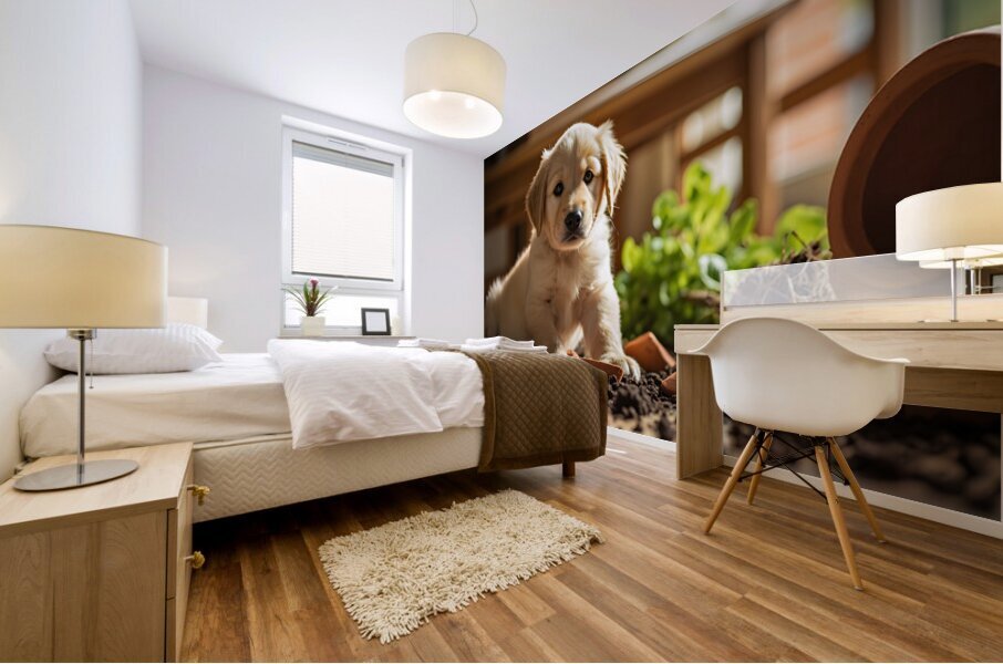 Apologetic Golden Retriever Puppy Looking Sorry Mural print