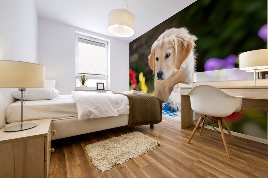 Golden Retriever Puppy Ready To Give Pawprint Autograph Mural print