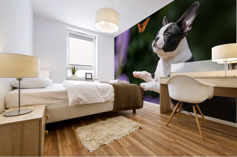 Boston Terrier Puppy Spots Butterfly In Garden Mural print