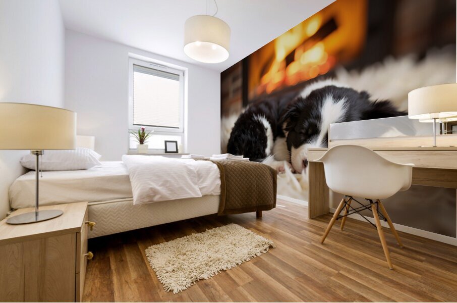 Happy Border Collie Puppy Enjoys Perfect Evening By The Fire Impression murale