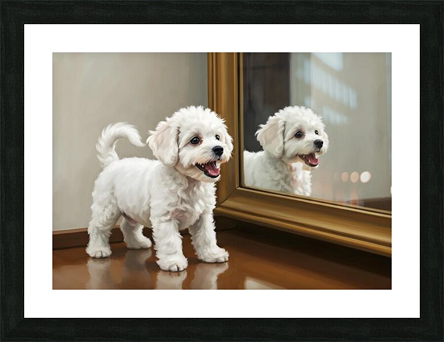 Playful White Bichon Frise Puppy Invites Mirror Reflection To Play Impression et Cadre photo