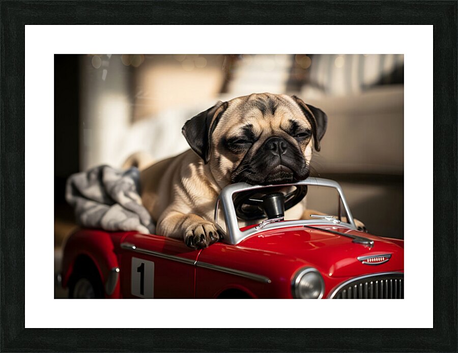 Sleepy Pug Puppy After Car Adventure Picture Frame print