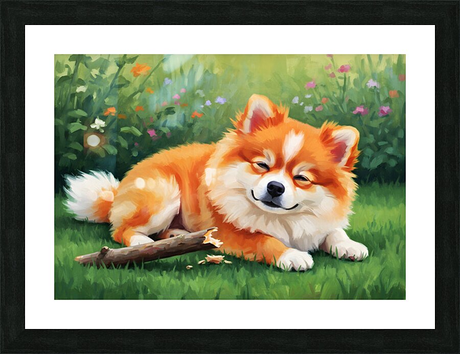 Satisfied Pomeranian Puppy After Playtime Impression et Cadre photo