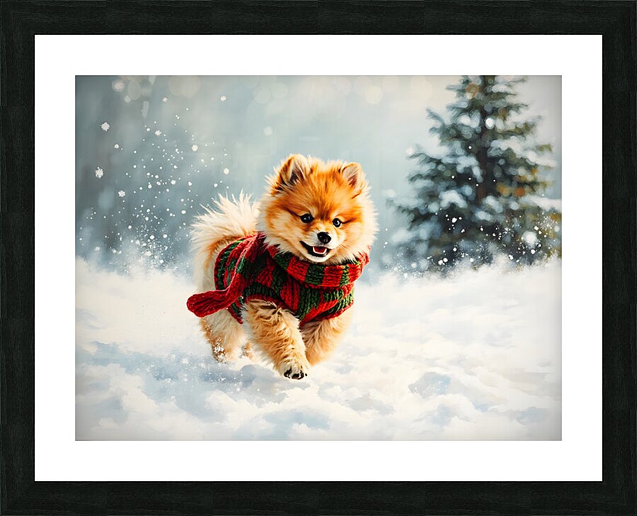 Pomeranian Puppy In Holiday Sweater Playing In Snow Picture Frame print