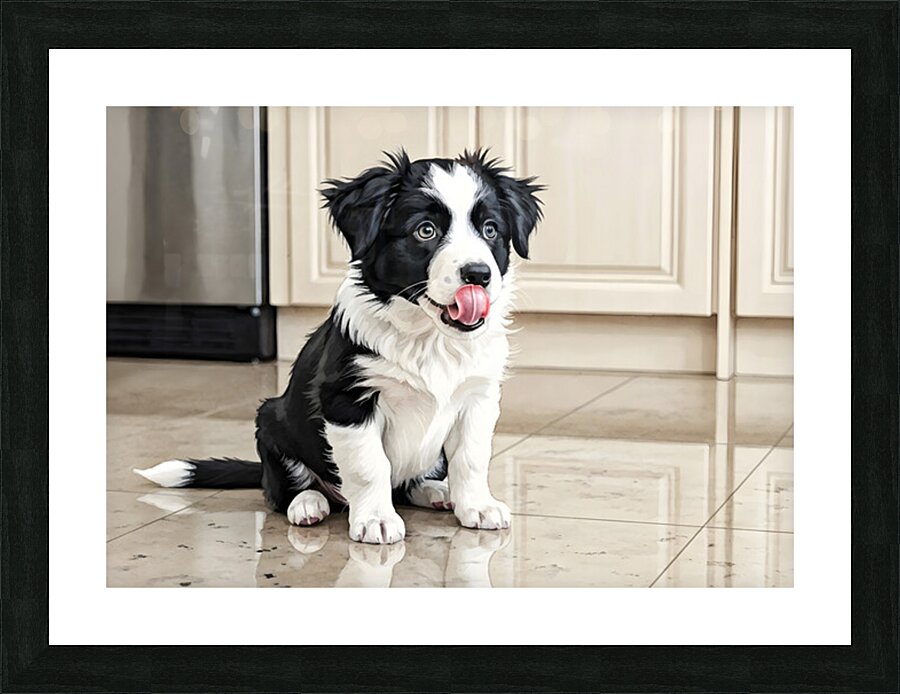 Border Collie Puppy Anticipates Delicious Treat Impression et Cadre photo