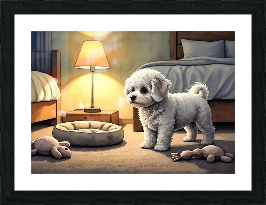 Bichon Frise Puppy Discovers Bedtime Picture Frame print