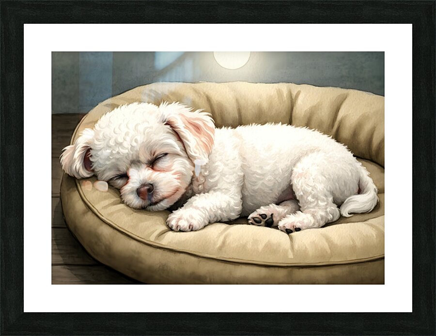 Bichon Frise Puppy Dreams Peacefully Picture Frame print