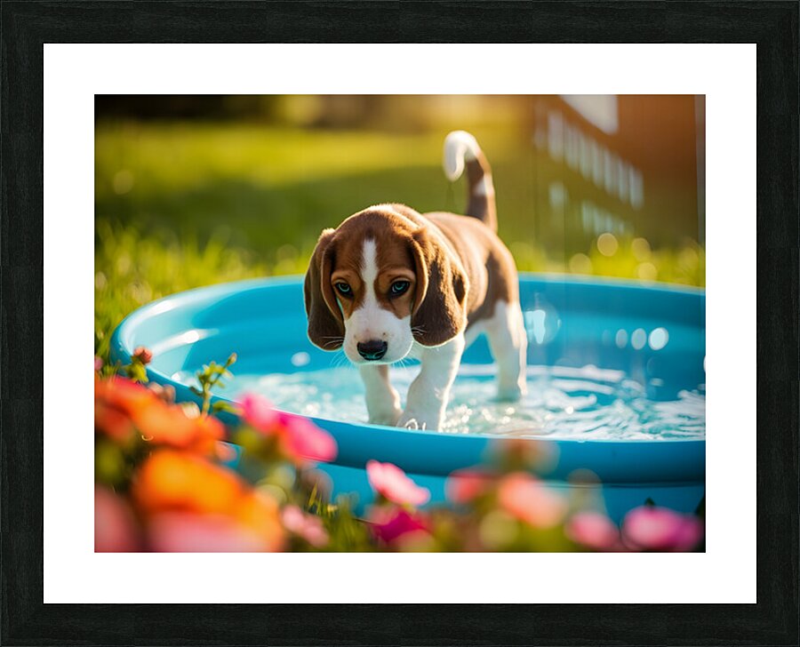 Beagle Puppy Discovers The Kiddie Pool Impression et Cadre photo