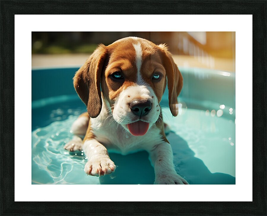 Tired Beagle Puppy Rests In The Kiddie Pool Impression et Cadre photo