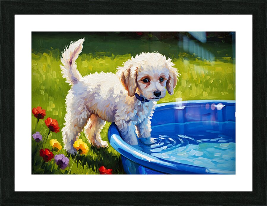 Poodle Puppy Discovers The Kiddie Pool Impression et Cadre photo