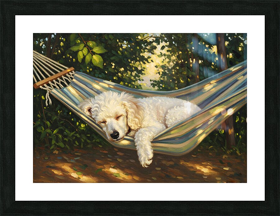 Poodle Puppy Naps In Hammock Impression et Cadre photo