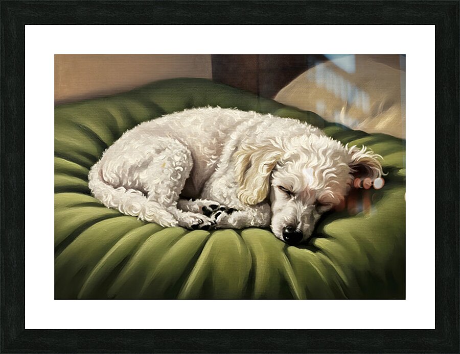 Poodle Puppy Dreams On Green Padded Bed Picture Frame print