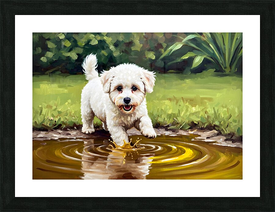 Bichon Frise Puppy Discovers Muddy Puddle Impression et Cadre photo