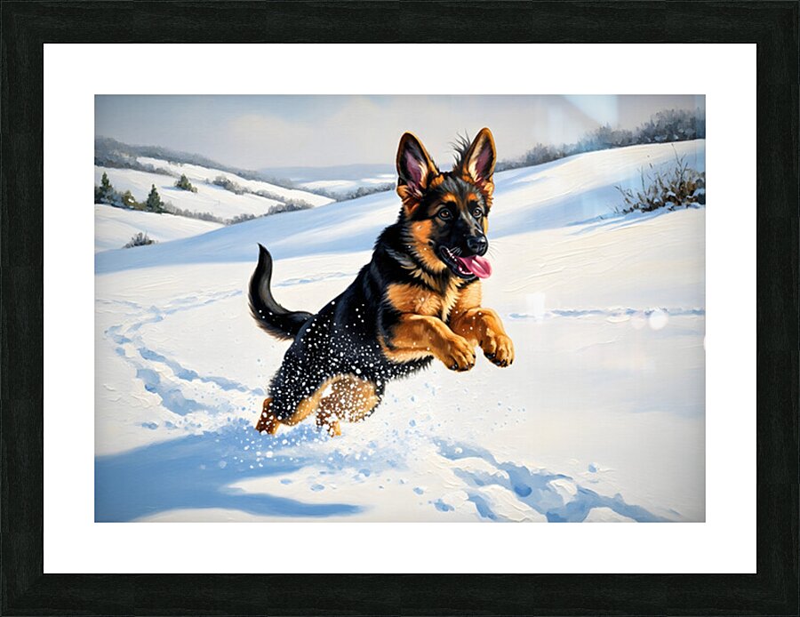 Happy German Shepherd Puppy Rests In Snow Picture Frame print