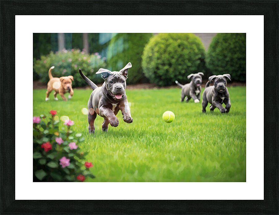 Cane Corso Puppy Spots The Perfect Tennis Ball Picture Frame print