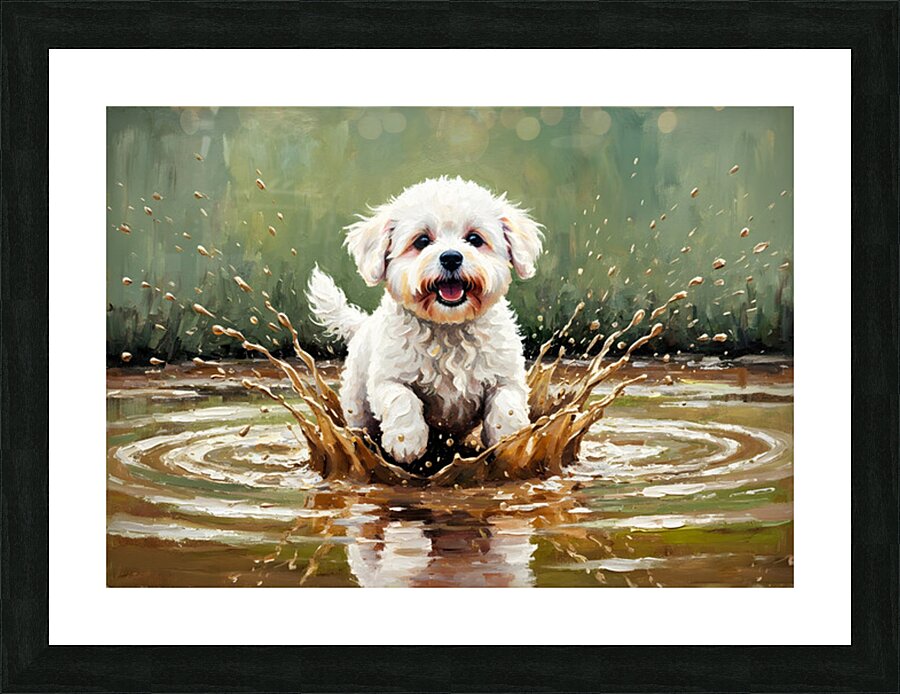 Muddy Bichon Frise Puppy After Puddle Adventure Picture Frame print