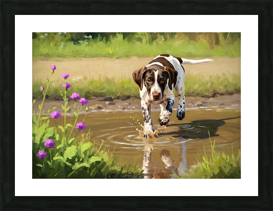 German Shorthaired Pointer Puppy Discovers Muddy Puddle Picture Frame print