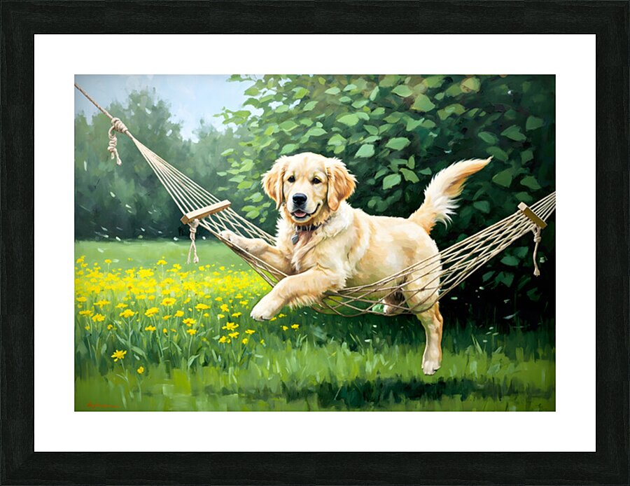 Golden Retriever Puppy Discovers Tiny Hammock In Garden Picture Frame print