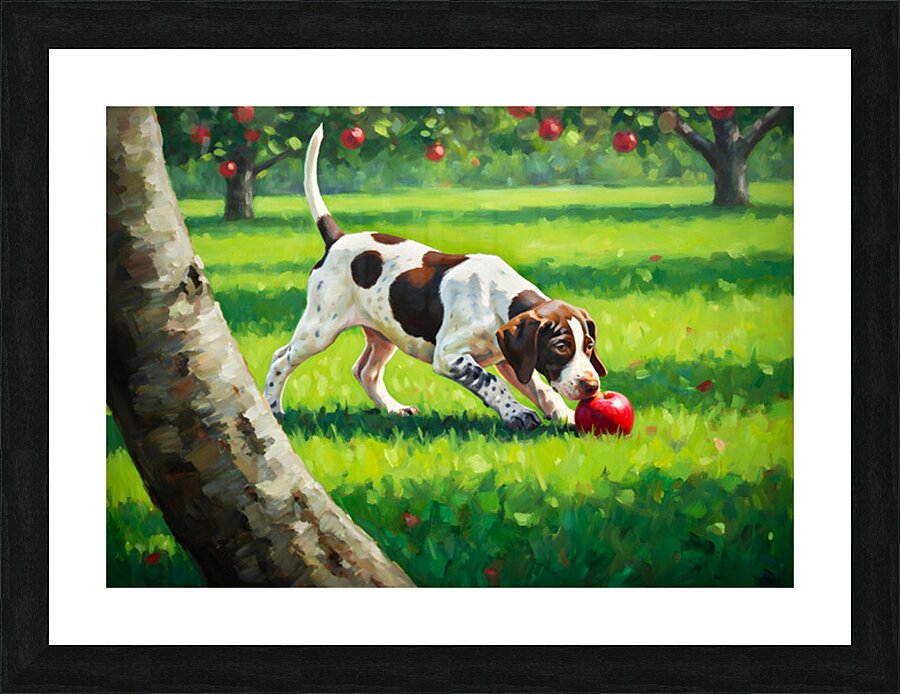 German Shorthaired Pointer Puppy Discovers Apple Orchard Picture Frame print