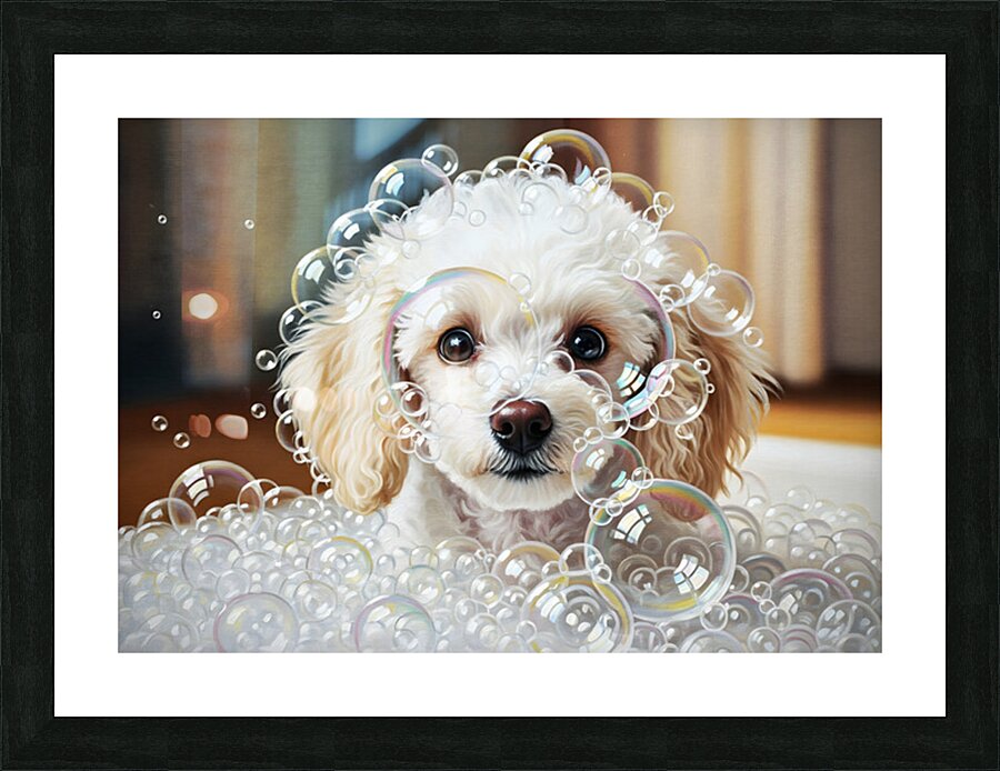 Happy Poodle Puppy After Bubble Adventure Impression et Cadre photo