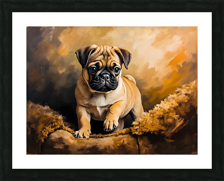 Pug Puppy Falls Asleep After Evening Entertainment Picture Frame print