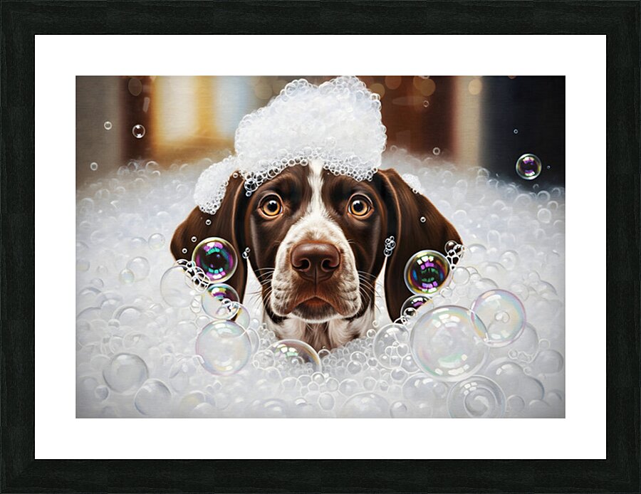 German Shorthaired Pointer Puppy Shakes Off The Bubbles Picture Frame print