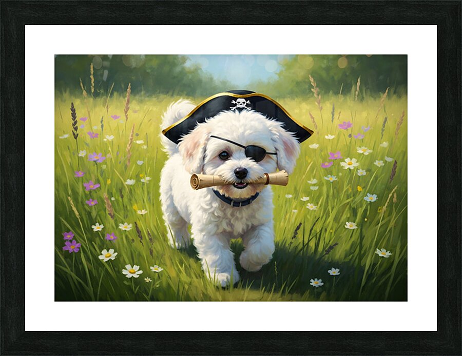 Bichon Frise Puppy Discovers Pirate Treasure Map Picture Frame print