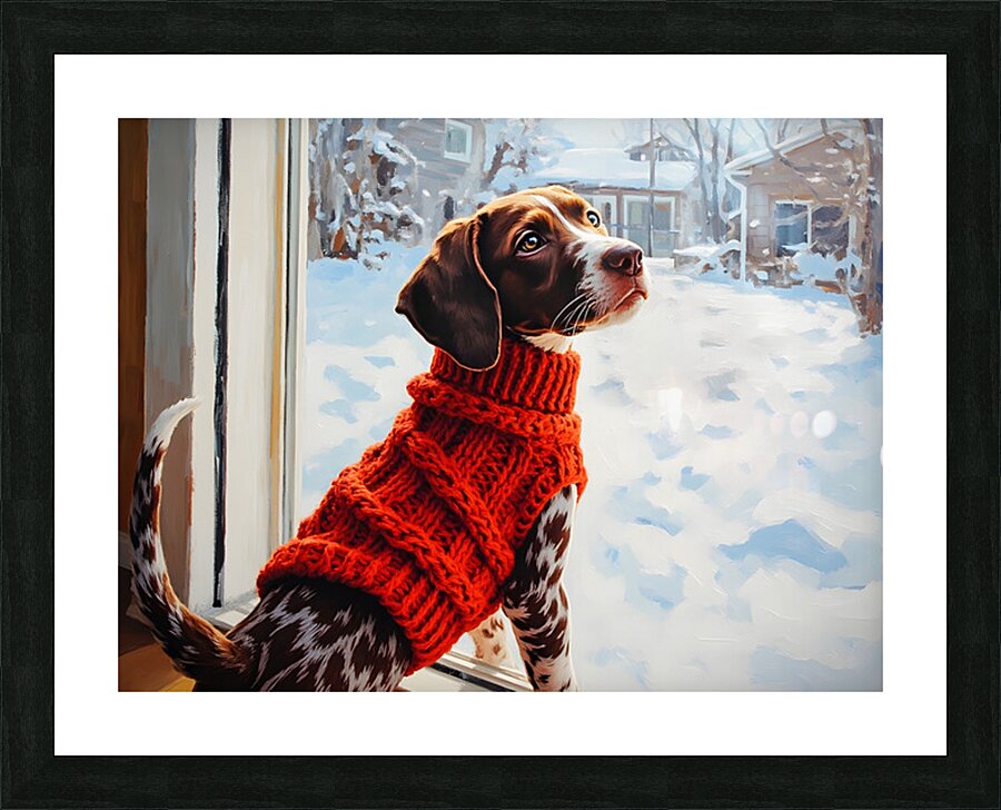 German Shorthaired Pointer Puppy Gets Winter Sweater Impression et Cadre photo