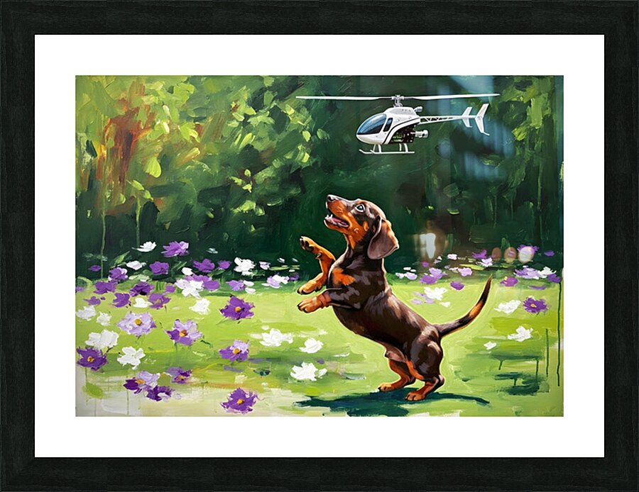 Dachshund Puppy Discovers Flying Toy Picture Frame print