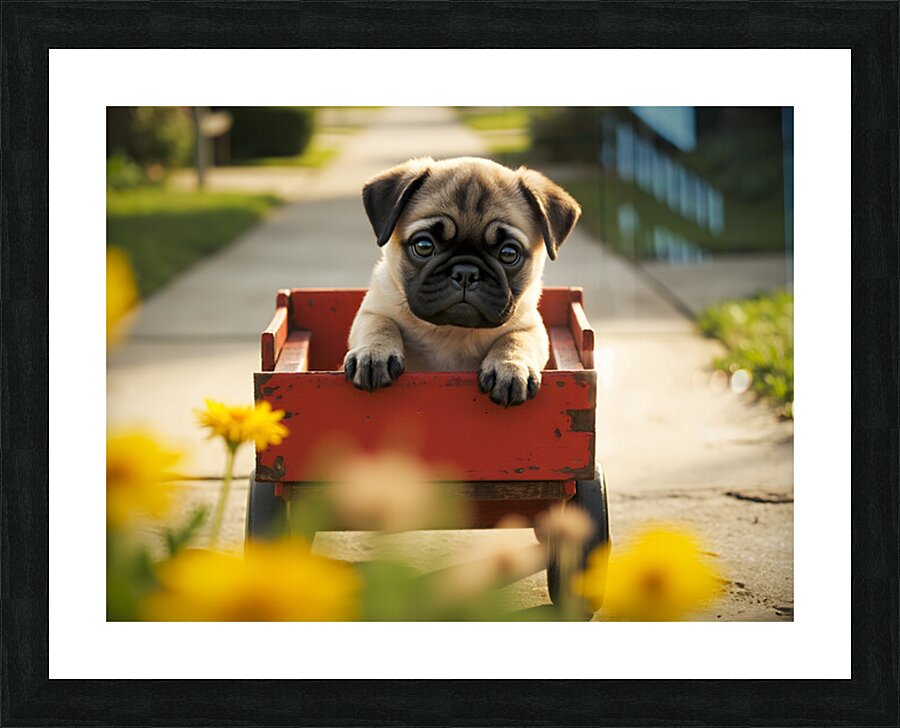 Sleepy Pug Puppy Rests After Wagon Adventure Impression et Cadre photo