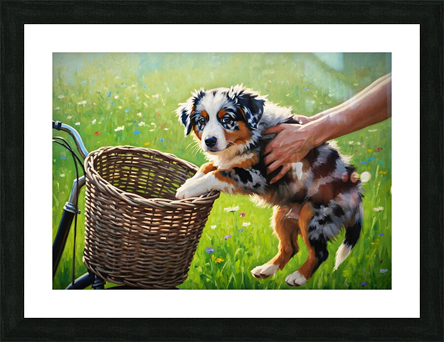 Australian Shepherd Puppy Discovers Bicycle Basket Adventure Impression et Cadre photo
